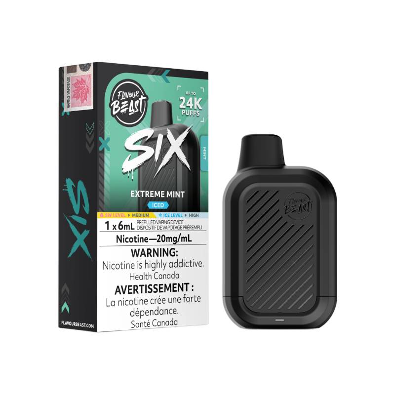 Flavour Beast SIX 24K Extreme Mint disposable vape with retail packaging